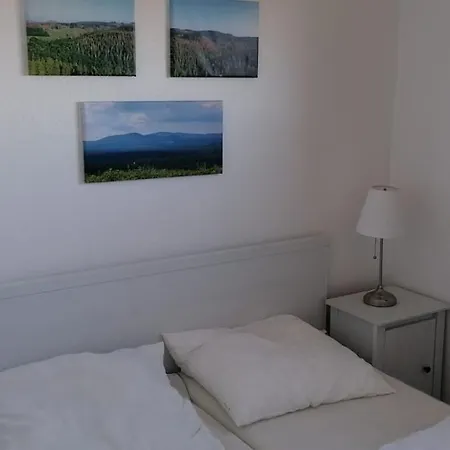 דירה Weitsicht Mit Pool & Sauna Hohegeiß