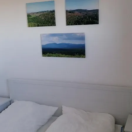 Weitsicht Mit Pool & Sauna Hohegeiß